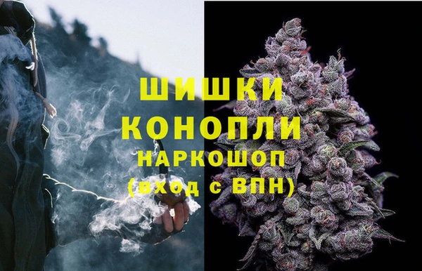 бошки Арсеньев