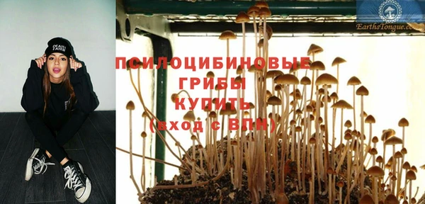 а пвп мука Аркадак