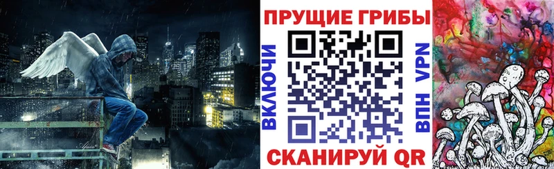 Псилоцибиновые грибы Psilocybine cubensis  Миньяр 